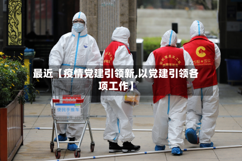 最近【疫情党建引领新,以党建引领各项工作】-第3张图片
