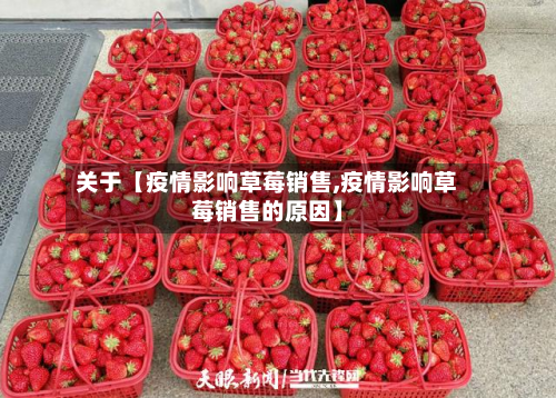 关于【疫情影响草莓销售,疫情影响草莓销售的原因】-第1张图片