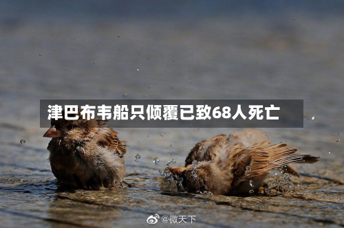 津巴布韦船只倾覆已致68人死亡-第3张图片