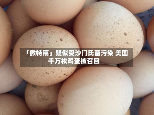 「微特稿」疑似受沙门氏菌污染 美国千万枚鸡蛋被召回-第2张图片