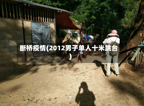 断桥疫情(2012男子单人十米跳台)-第1张图片