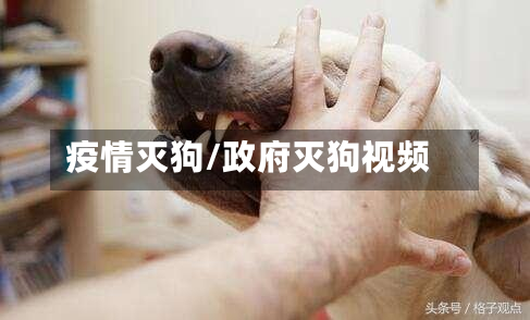 疫情灭狗/政府灭狗视频-第1张图片