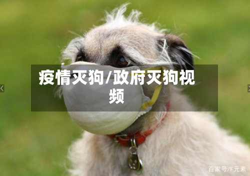 疫情灭狗/政府灭狗视频-第2张图片