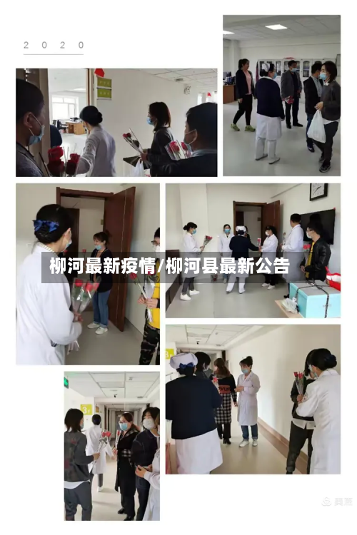 柳河最新疫情/柳河县最新公告-第1张图片