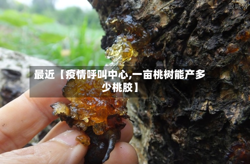最近【疫情呼叫中心,一亩桃树能产多少桃胶】-第2张图片