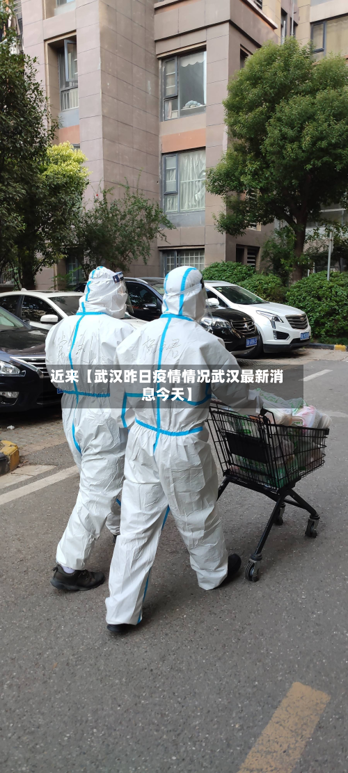 近来【武汉昨日疫情情况武汉最新消息今天】-第2张图片