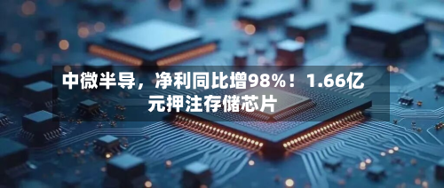 中微半导	，净利同比增98%！1.66亿元押注存储芯片-第1张图片