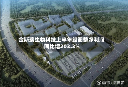金斯瑞生物科技上半年经调整净利润同比增203.3%-第2张图片