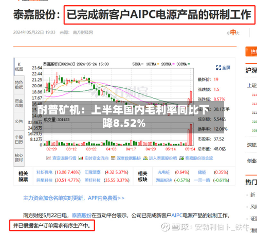 耐普矿机:上半年国内毛利率同比下降8.52%-第2张图片