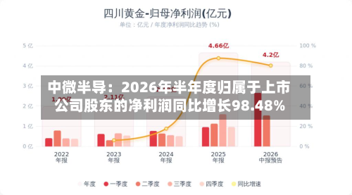 中微半导:2026年半年度归属于上市公司股东的净利润同比增长98.48%-第1张图片