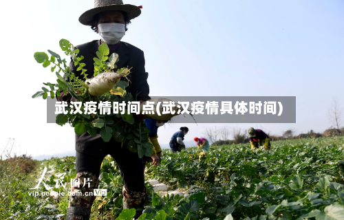武汉疫情时间点(武汉疫情具体时间)-第2张图片