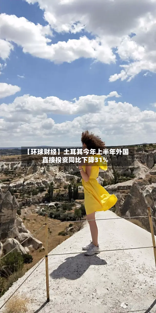 【环球财经】土耳其今年上半年外国直接投资同比下降31%-第1张图片