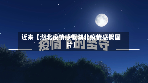 近来【湖北疫情感慨湖北疫情感慨图片】-第3张图片