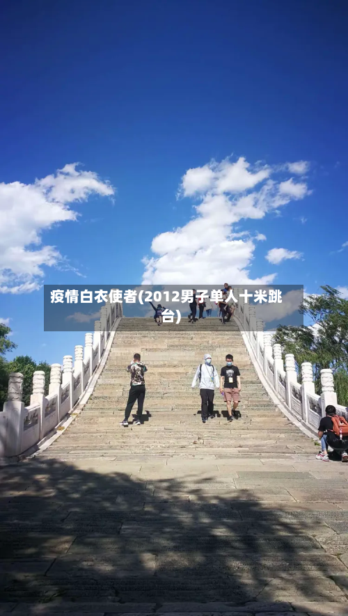 疫情白衣使者(2012男子单人十米跳台)-第2张图片