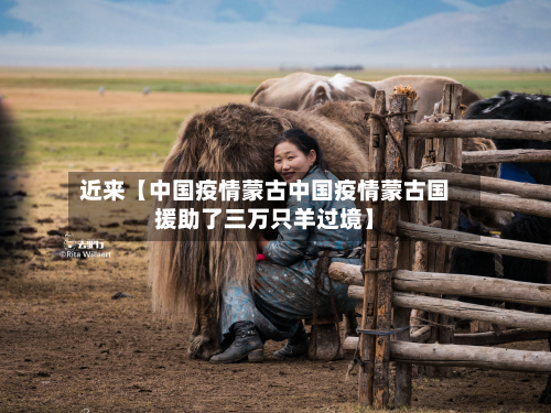近来【中国疫情蒙古中国疫情蒙古国援助了三万只羊过境】-第1张图片