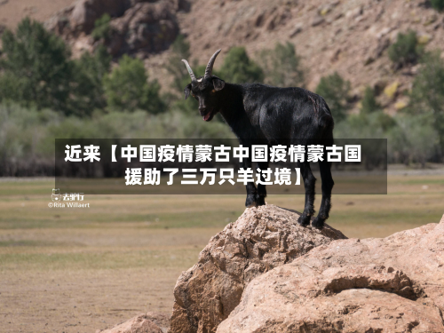 近来【中国疫情蒙古中国疫情蒙古国援助了三万只羊过境】-第2张图片