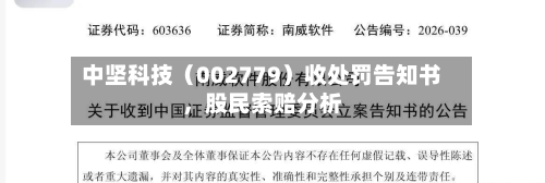 中坚科技（002779）收处罚告知书，股民索赔分析-第2张图片