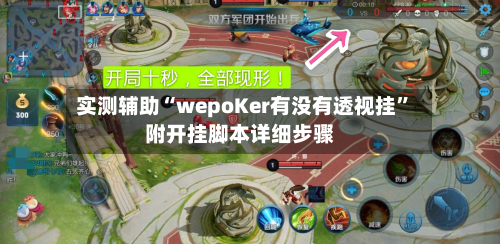 实测辅助“wepoKer有没有透视挂	”附开挂脚本详细步骤-第2张图片
