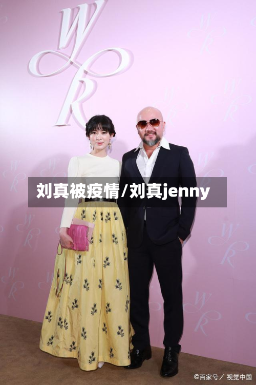 刘真被疫情/刘真jenny-第3张图片
