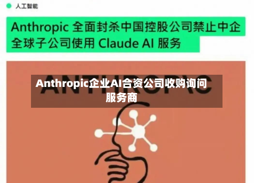 Anthropic企业AI合资公司收购询问服务商-第1张图片