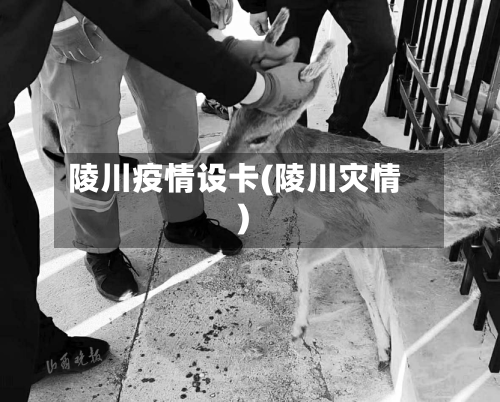 陵川疫情设卡(陵川灾情)-第2张图片