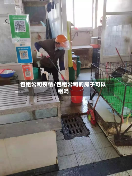 包租公司疫情/包租公司的房子可以租吗-第2张图片