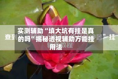 实测辅助“填大坑有挂是真的吗”揭秘透视辅助万能挂用法-第1张图片