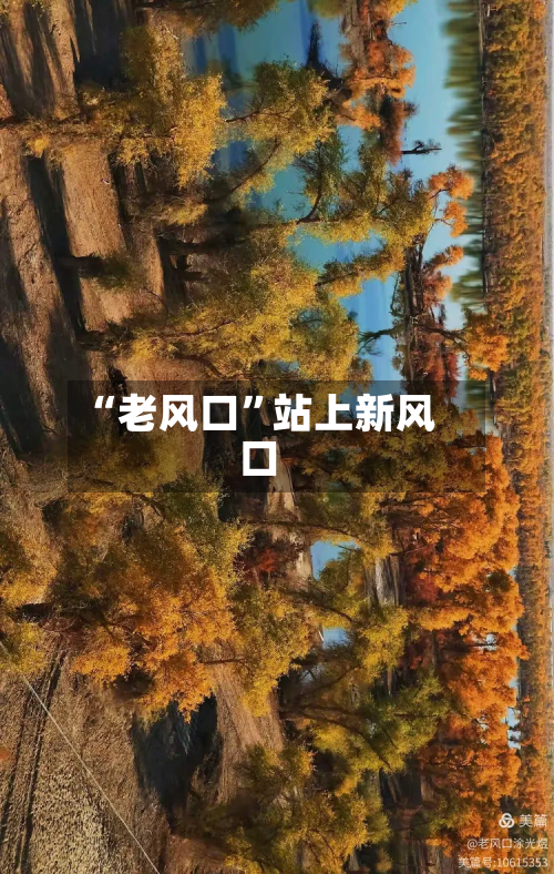 “老风口	”站上新风口-第1张图片