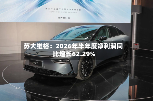 苏大维格:2026年半年度净利润同比增长62.29%-第2张图片