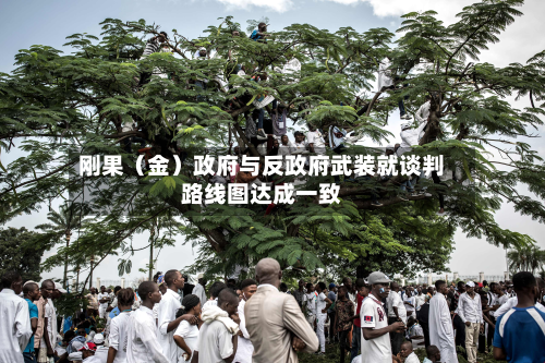 刚果(金)政府与反政府武装就谈判路线图达成一致-第1张图片