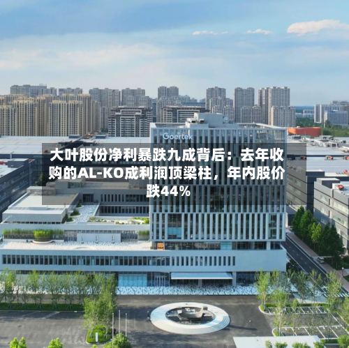 大叶股份净利暴跌九成背后：去年收购的AL-KO成利润顶梁柱，年内股价跌44%-第1张图片