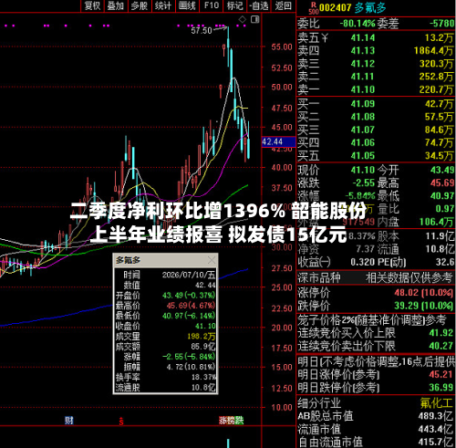 二季度净利环比增1396% 韶能股份上半年业绩报喜 拟发债15亿元-第2张图片