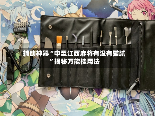 辅助神器“中至江西麻将有没有猫腻”揭秘万能挂用法-第1张图片