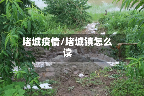 堵城疫情/堵城镇怎么读-第1张图片
