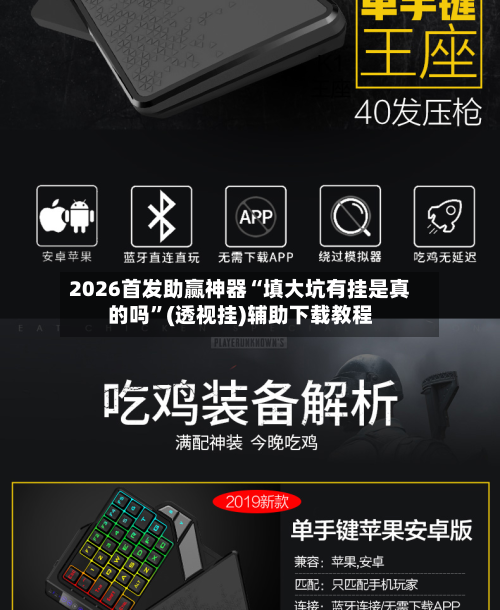 2026首发助赢神器“填大坑有挂是真的吗	”(透视挂)辅助下载教程-第1张图片
