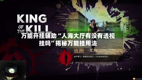 万能开挂辅助“人海大厅有没有透视挂吗”揭秘万能挂用法-第3张图片