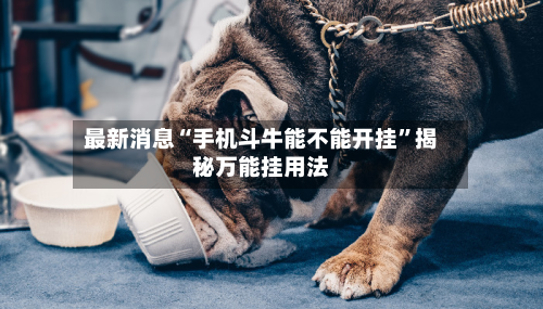 最新消息“手机斗牛能不能开挂	”揭秘万能挂用法-第2张图片