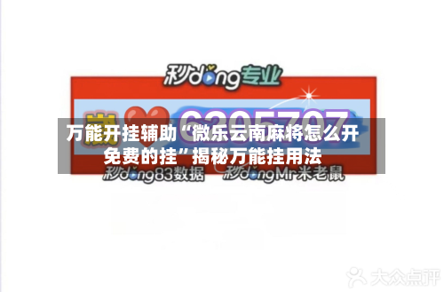 万能开挂辅助“微乐云南麻将怎么开免费的挂”揭秘万能挂用法-第2张图片