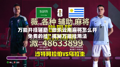 万能开挂辅助“微乐云南麻将怎么开免费的挂	”揭秘万能挂用法-第1张图片