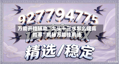万能开挂辅助“大头十三水怎么提高胜率”揭秘万能挂用法-第1张图片