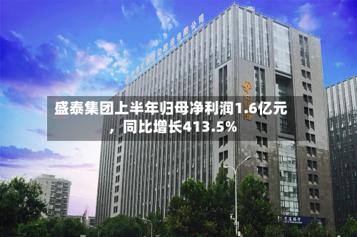 盛泰集团上半年归母净利润1.6亿元，同比增长413.5%-第3张图片