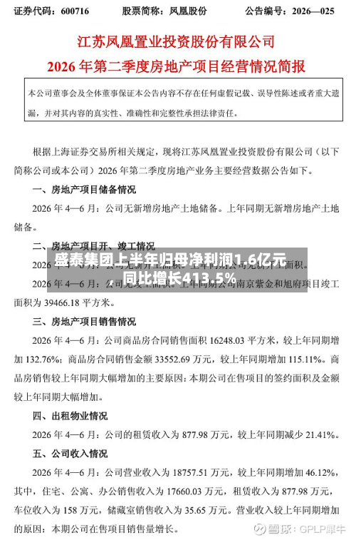 盛泰集团上半年归母净利润1.6亿元，同比增长413.5%-第2张图片