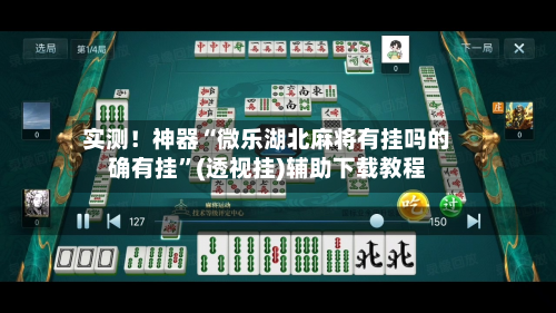 实测！神器“微乐湖北麻将有挂吗的确有挂”(透视挂)辅助下载教程-第2张图片