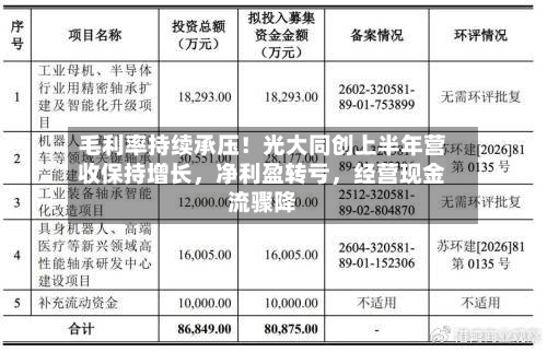 毛利率持续承压！光大同创上半年营收保持增长，净利盈转亏	，经营现金流骤降-第3张图片