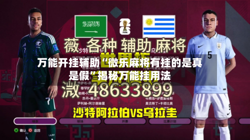 万能开挂辅助“微乐麻将有挂的是真是假”揭秘万能挂用法-第2张图片