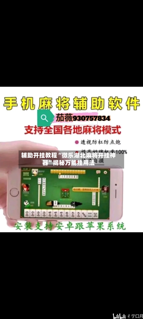 辅助开挂教程“微乐湖北麻将开挂神器”揭秘万能挂用法-第2张图片