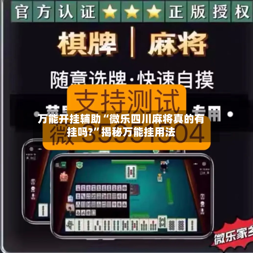 万能开挂辅助“微乐四川麻将真的有挂吗?”揭秘万能挂用法-第3张图片