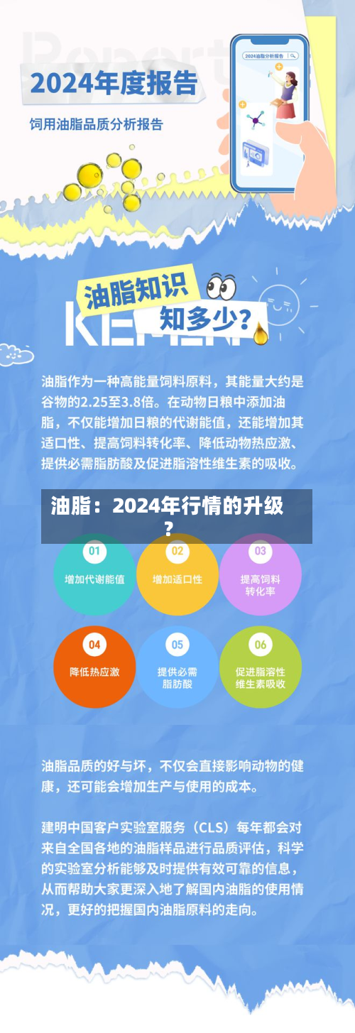 油脂:2024年行情的升级?-第2张图片