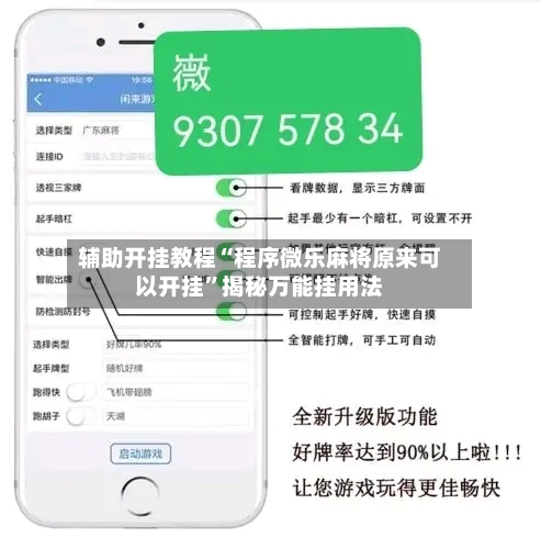 辅助开挂教程“程序微乐麻将原来可以开挂”揭秘万能挂用法-第3张图片