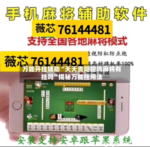 万能开挂辅助“天天贵阳捉鸡麻将有挂吗	”揭秘万能挂用法-第2张图片